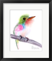 Framed Tropical Bird V