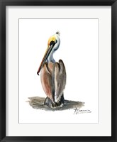 Framed Beach Bird