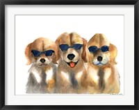 Framed Dogs in Glasses