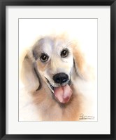 Framed Dog