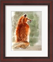 Framed Fox