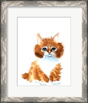 Framed Orange Cat