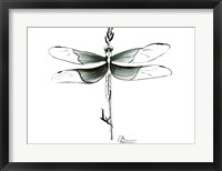 Framed Dragonfly