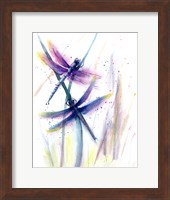 Framed Dragonflies II