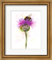 Framed Bumble Bee