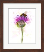 Framed Bumble Bee