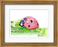 Framed Ladybug