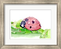 Framed Ladybug