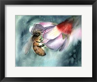 Framed Bee III