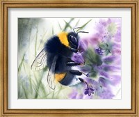 Framed Bee IV