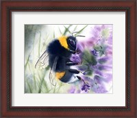 Framed Bee IV