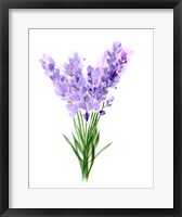Framed Purple Flowers V