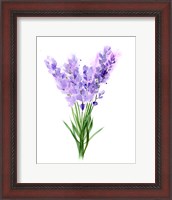 Framed Purple Flowers V