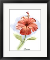 Framed Red Flower