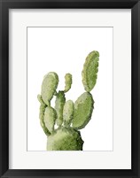 Framed Cactus