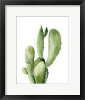 Framed Cactus II