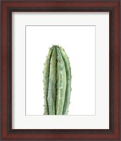Framed Cactus III