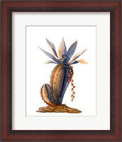 Framed Cactus V