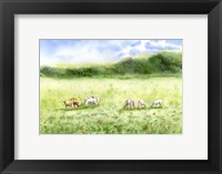Framed Field Scape