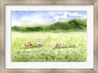 Framed Field Scape