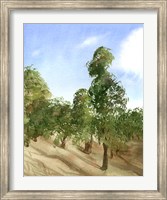 Framed Apple Trees