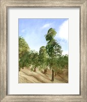 Framed Apple Trees