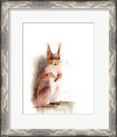 Framed Squirrel