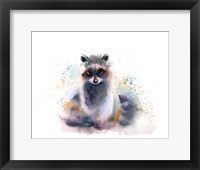 Framed Raccoon