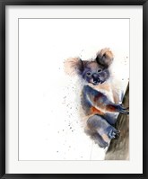 Framed Koala