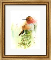 Framed Orange Bird