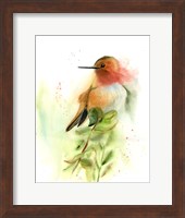 Framed Orange Bird