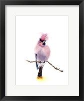 Framed Pink Bird