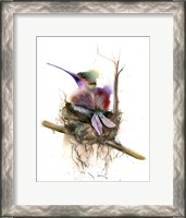 Framed Nested