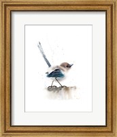 Framed Perched Bird V
