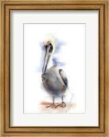 Framed Pelican II
