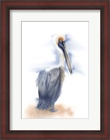 Framed Pelican III