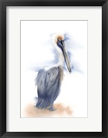 Framed Pelican III