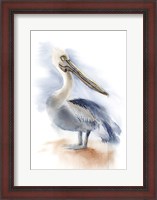 Framed Pelican IV