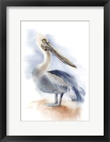 Framed Pelican IV