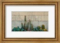 Framed Cactus Garden