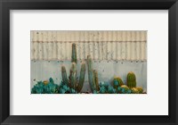 Framed Cactus Garden