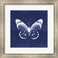 Framed White Butterfly I