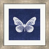 Framed White Butterfly II