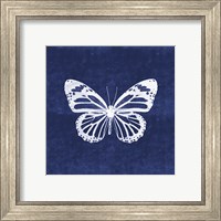 Framed 'White Butterfly III' border=