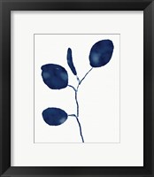 Framed 'Indigo Eucalyptus II' border=