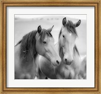 Framed Horse Friends