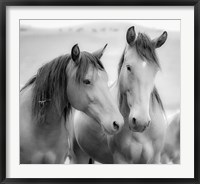 Framed Horse Friends