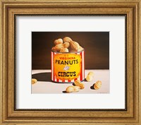 Framed Circus Peanuts