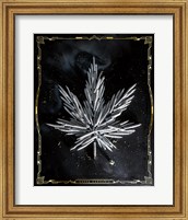 Framed Carpe Cannabis