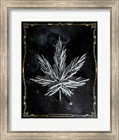 Framed Carpe Cannabis